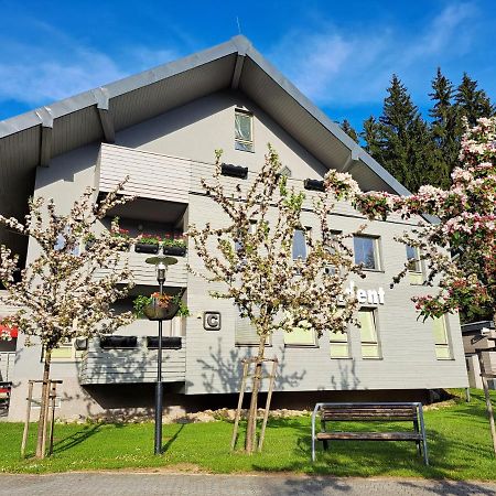 Resident Harrachov Family Apartment Eksteriør billede